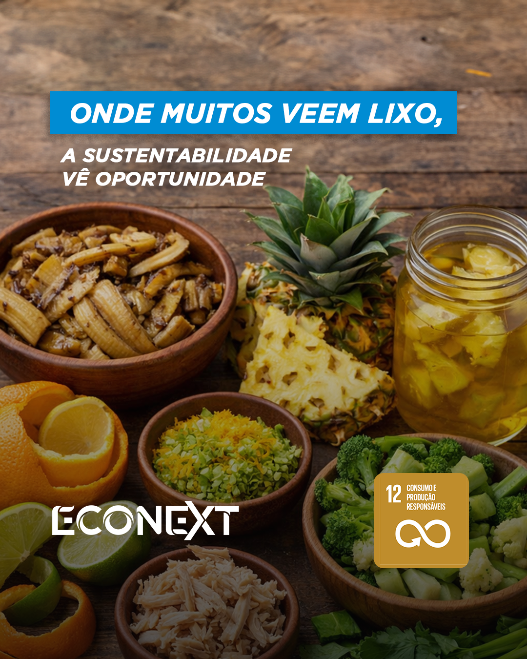 Onde muitos veem lixo, a sustentabilidade vê oportunidade.