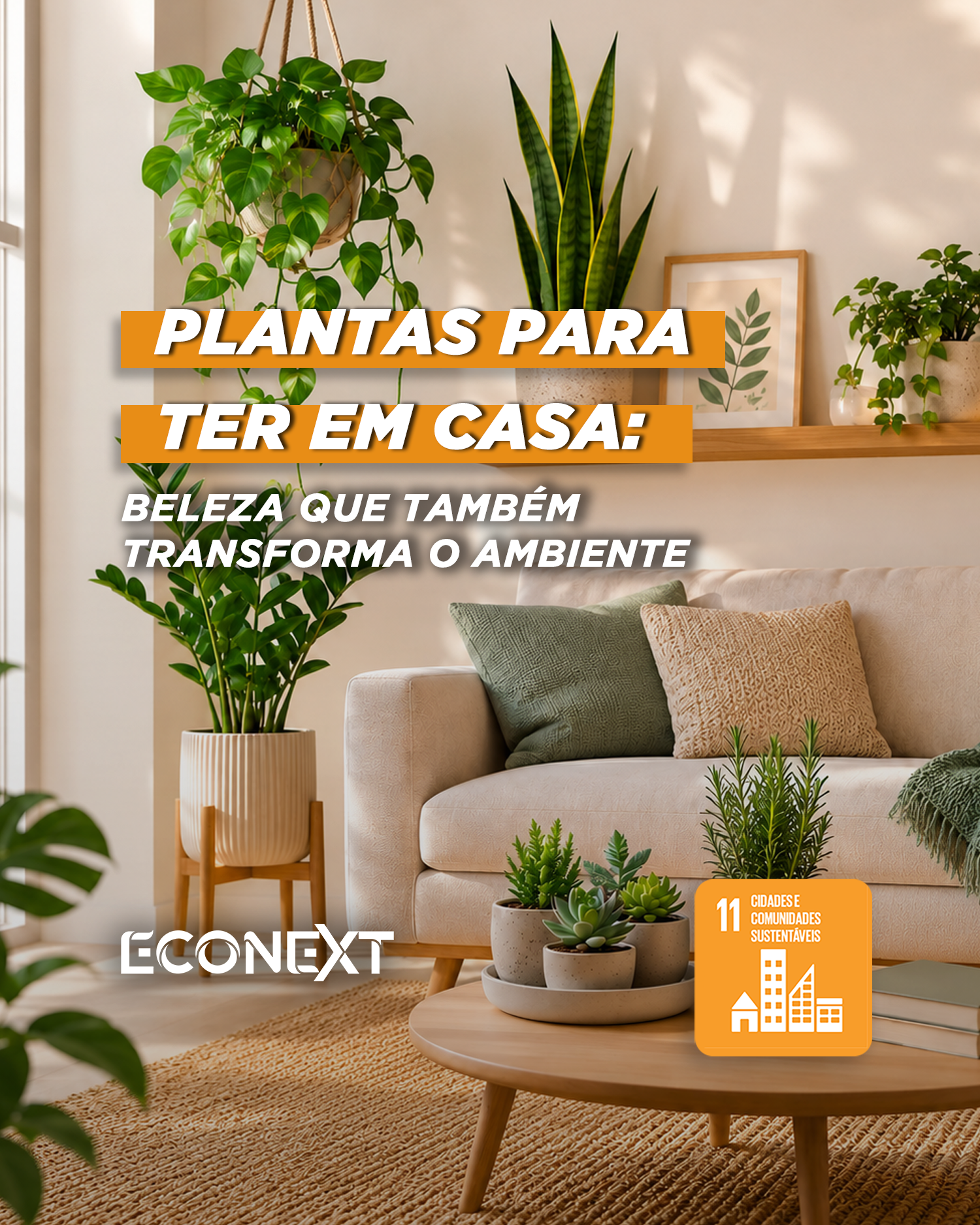 Plantas para ter em casa: beleza que também transforma o ambiente 