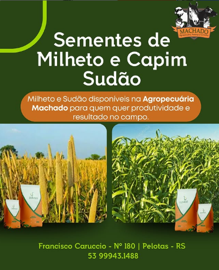 Agropecuária Machado