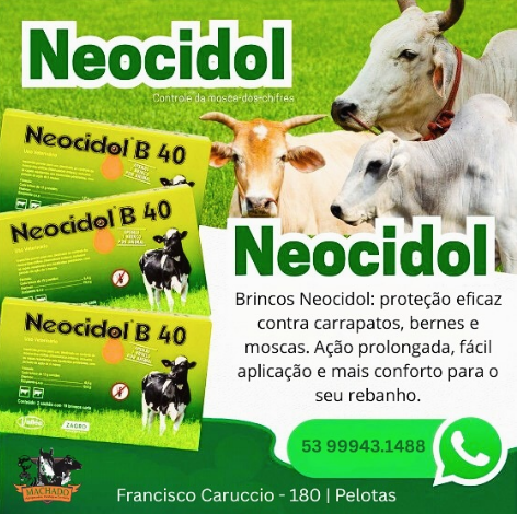 Agropecuária Machado