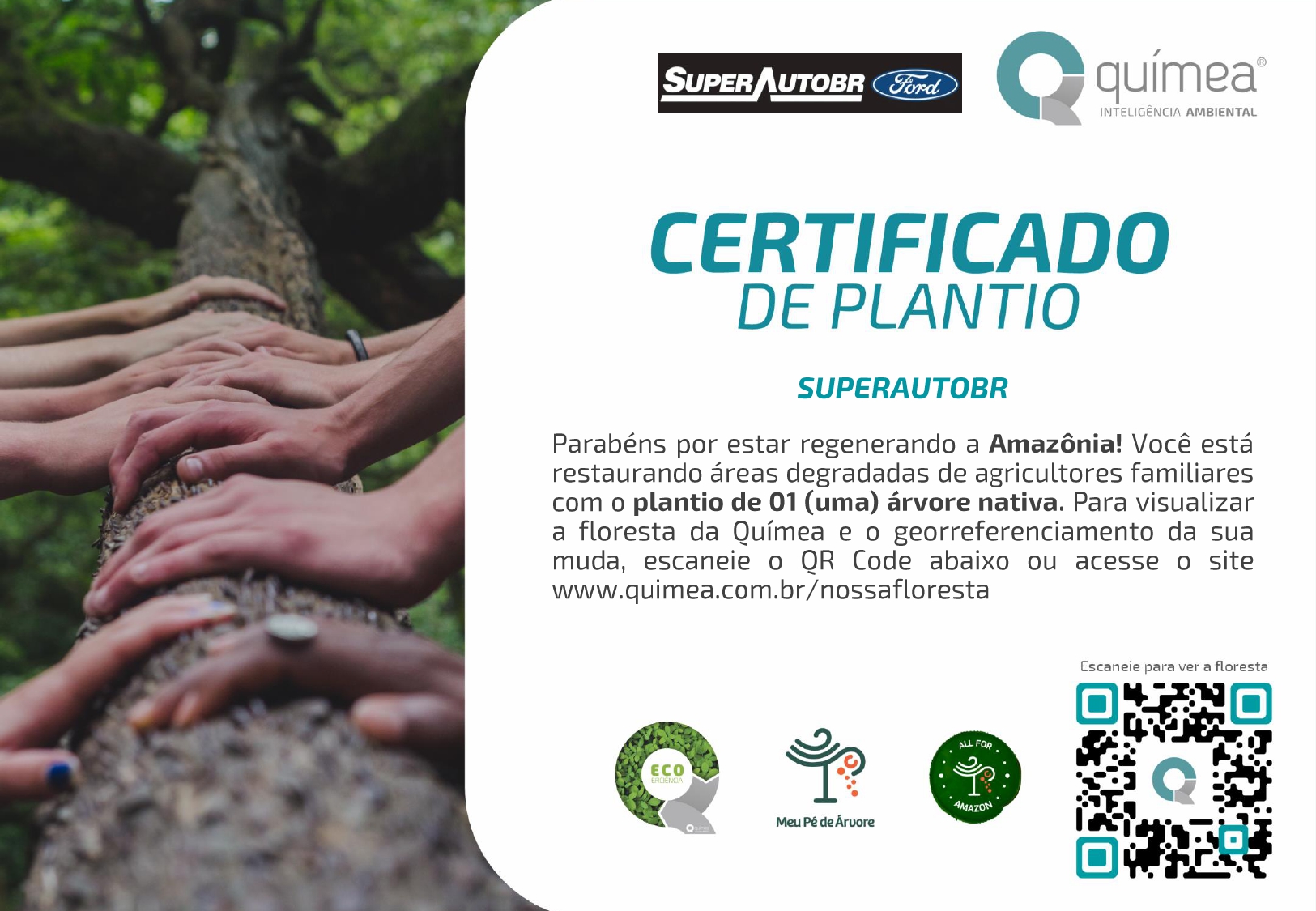 Superauto Distribuidora
