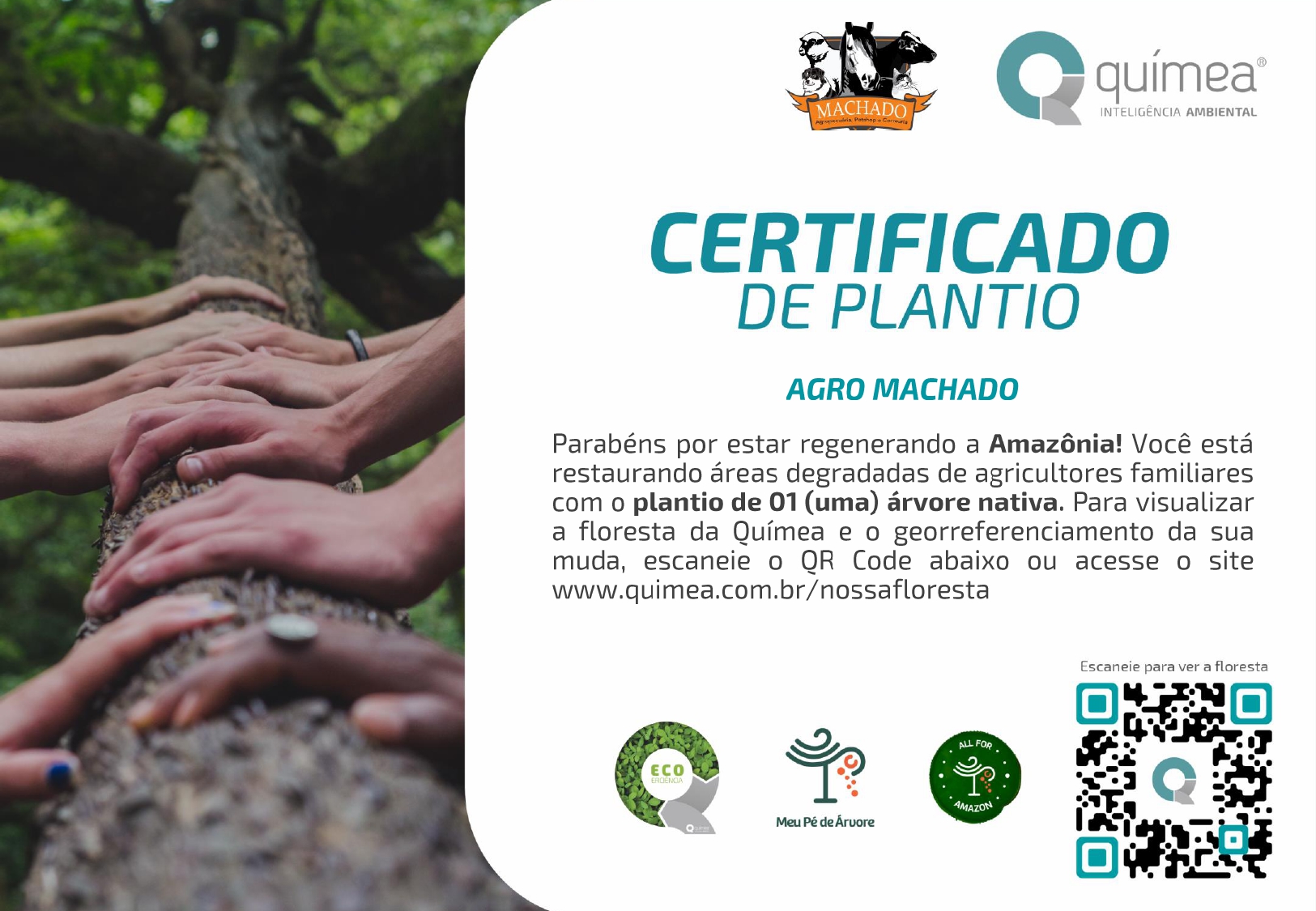 Agropecuária Machado