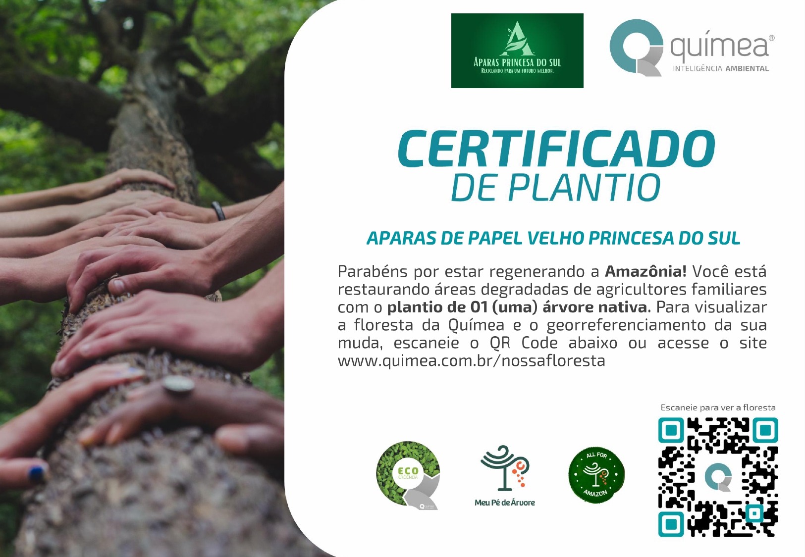 Aparas Princesa do Sul