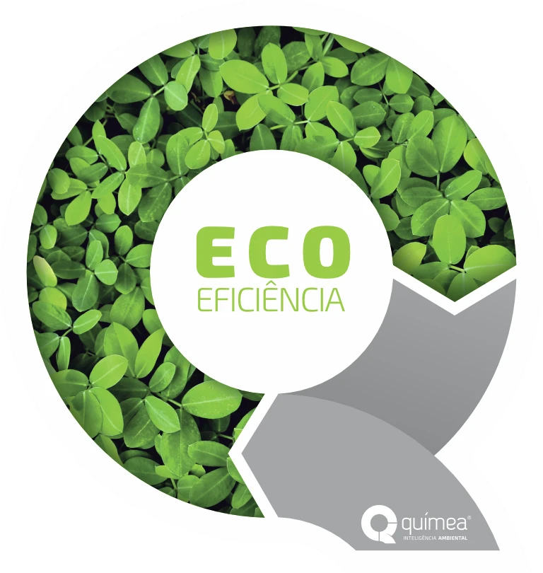 Ecoeficiência