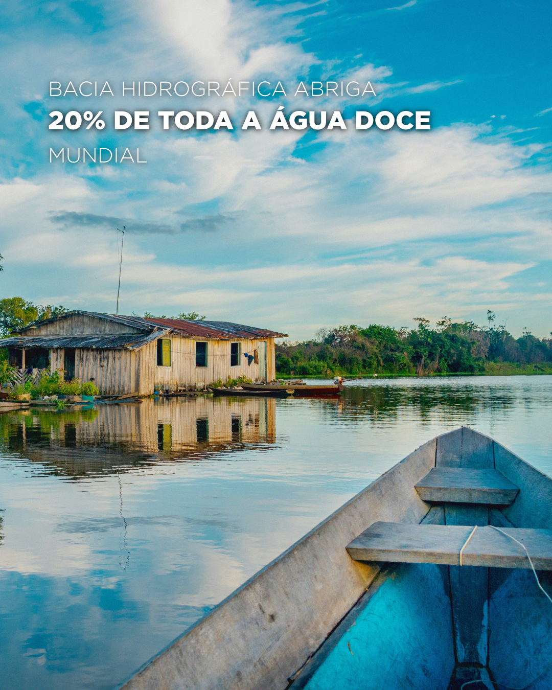 O que a Amazônia representa para o mundo?