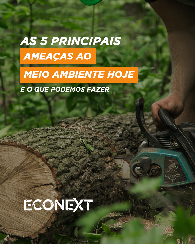 As 5 principais ameaças ao meio ambiente hoje  e o que podemos fazer.