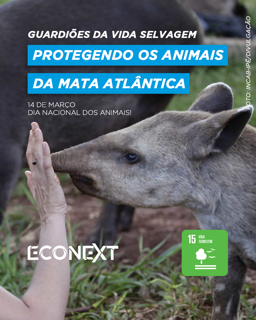 Guardião da Vida Selvagem: Protegendo os Animais da Mata Atlântica!