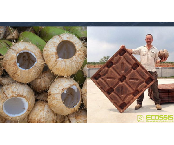 Pallet biodegradável é fabricado com casca de coco