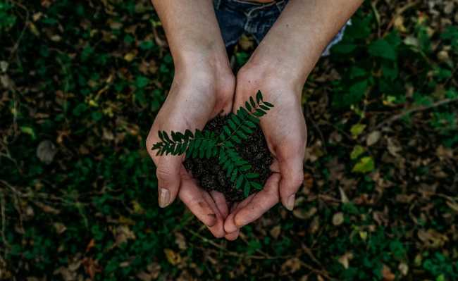 Conhece o Ecodesign? Prática busca amenizar impactos da exploração ambiental