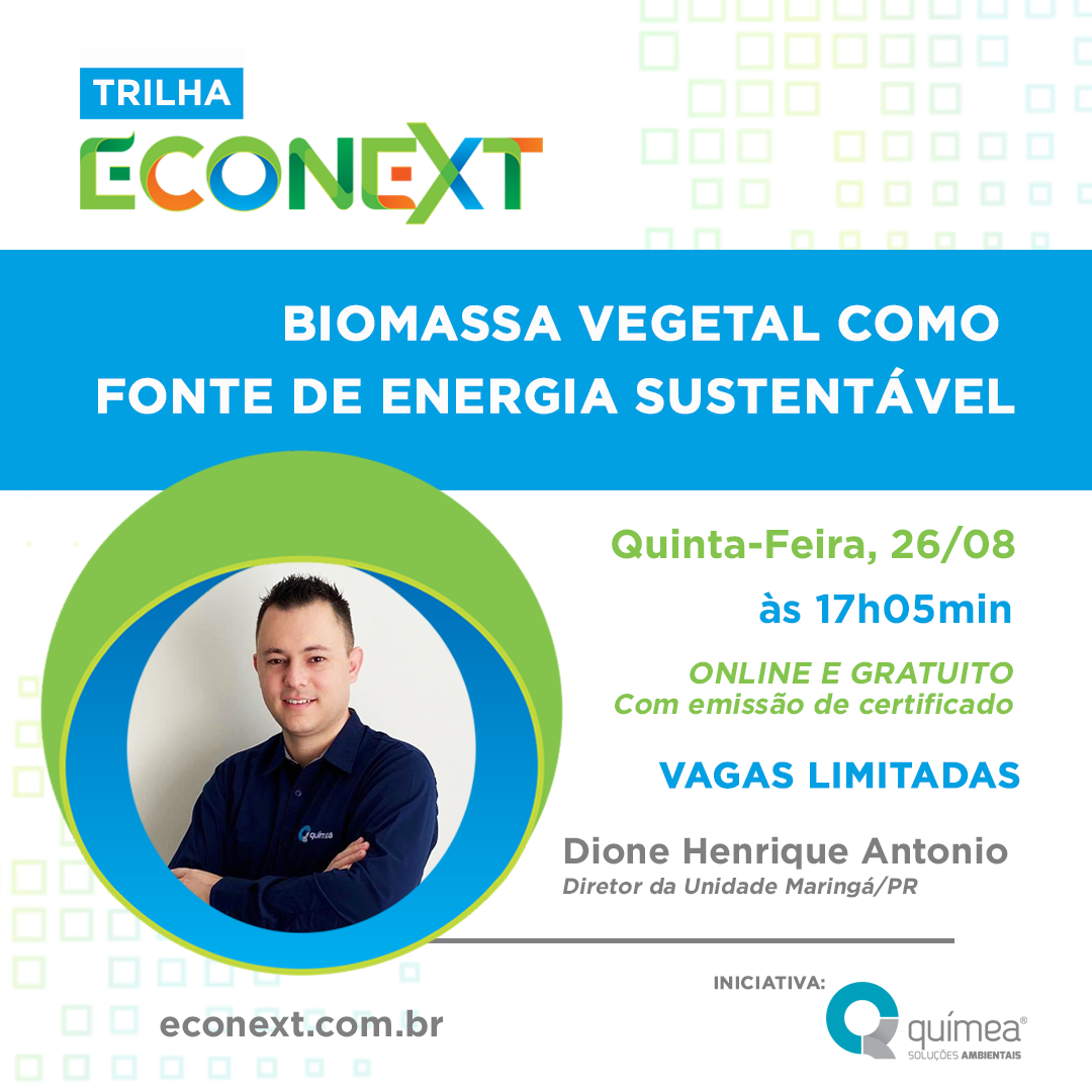 Biomassa Vegetal como Fonte de Energia Sustentável