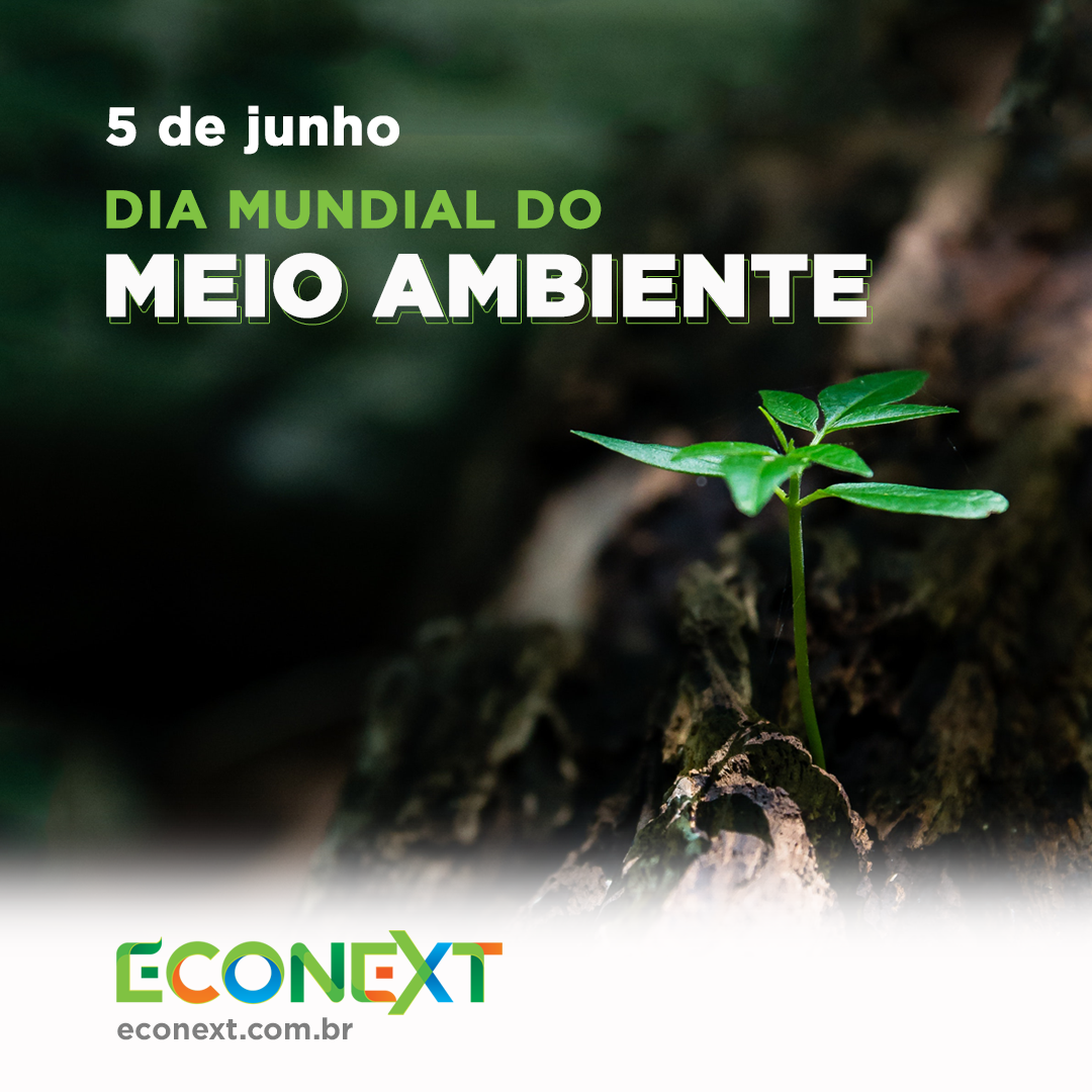 Você sabe porquê comemoramos o Dia Mundial do Meio Ambiente?