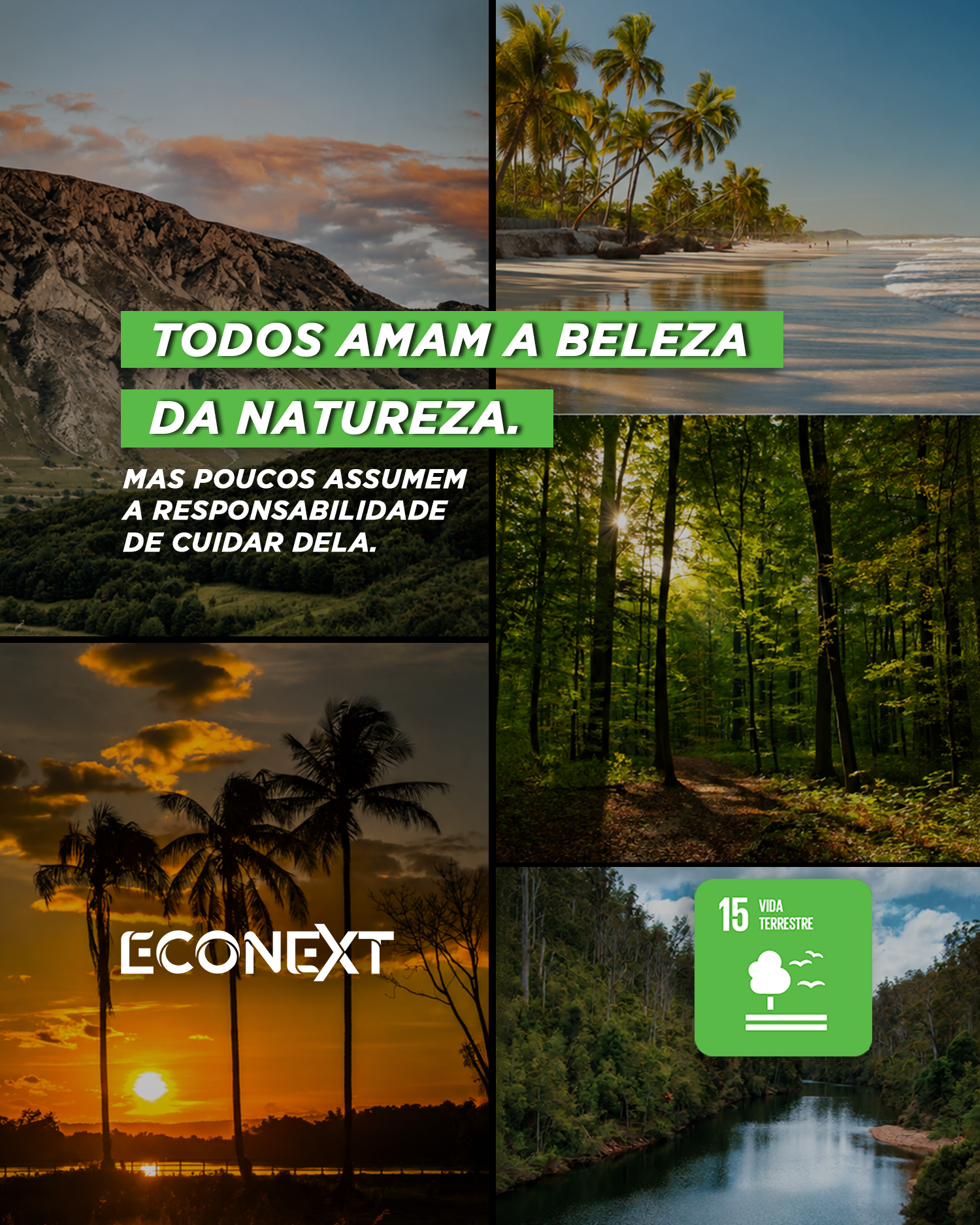 Amar a natureza também é cuidar dela