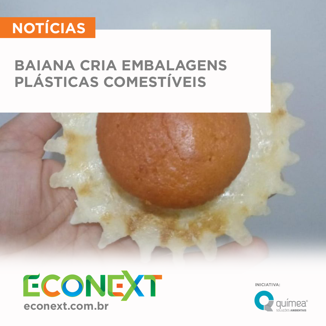 Baiana cria embalagens plásticas comestíveis