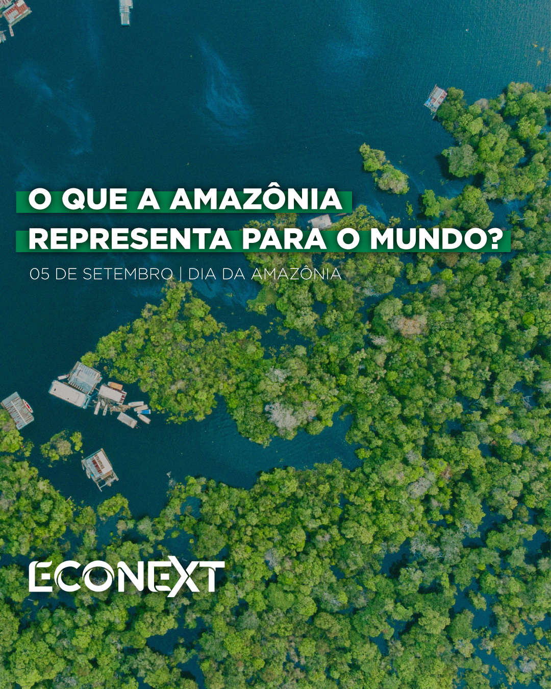 O que a Amazônia representa para o mundo?