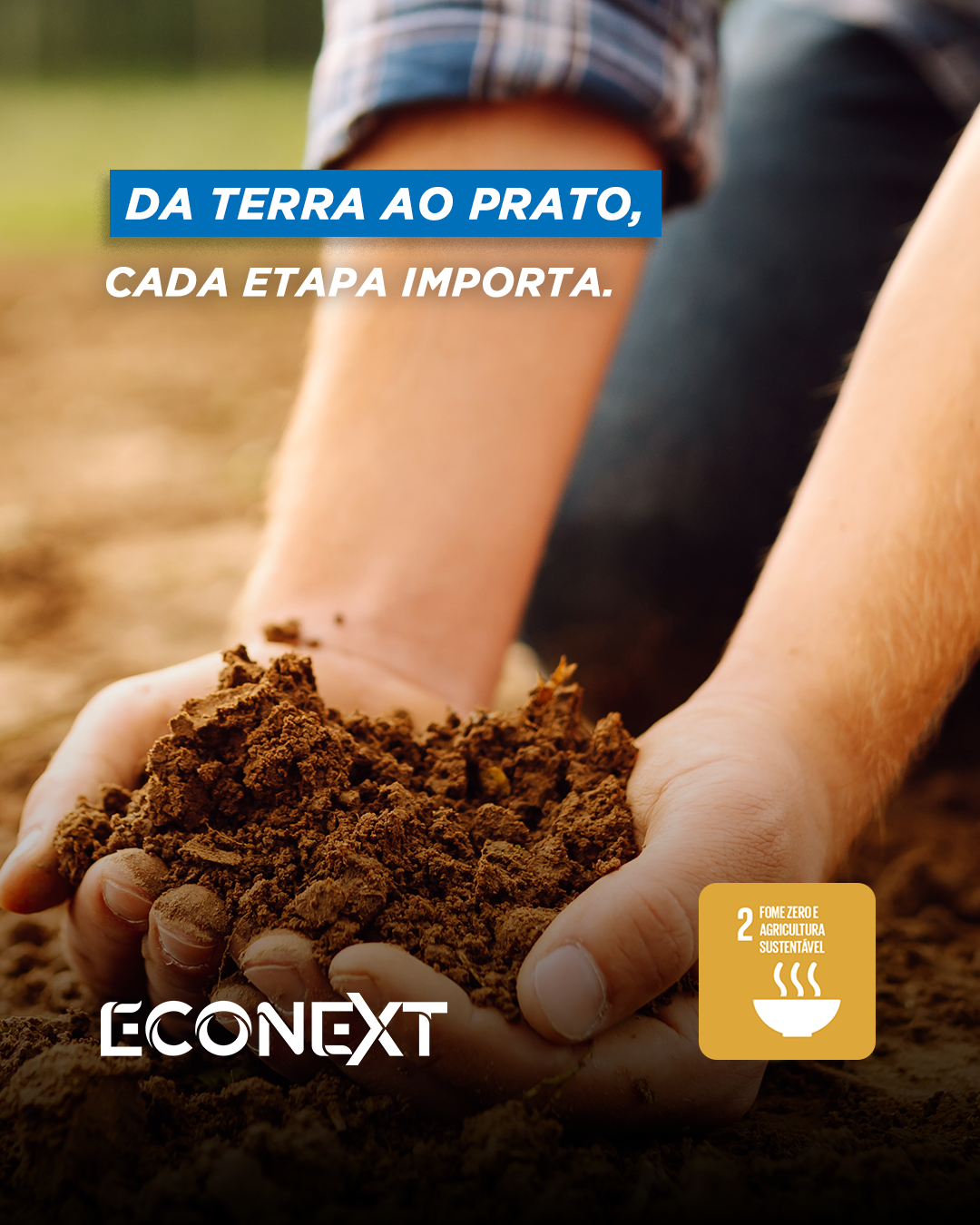 Da terra ao prato, cada etapa importa. Da terra ao prato, cada etapa importa.