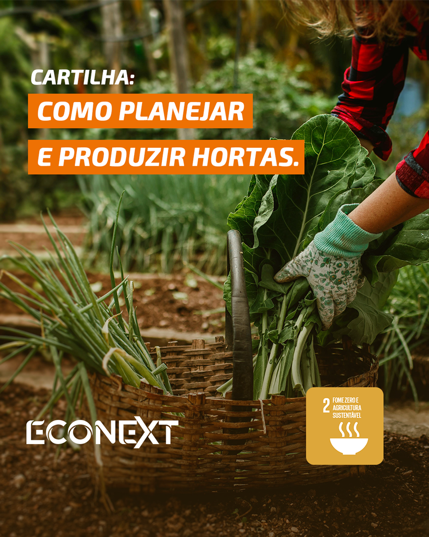 Cartilha: como planejar e produzir hortas.