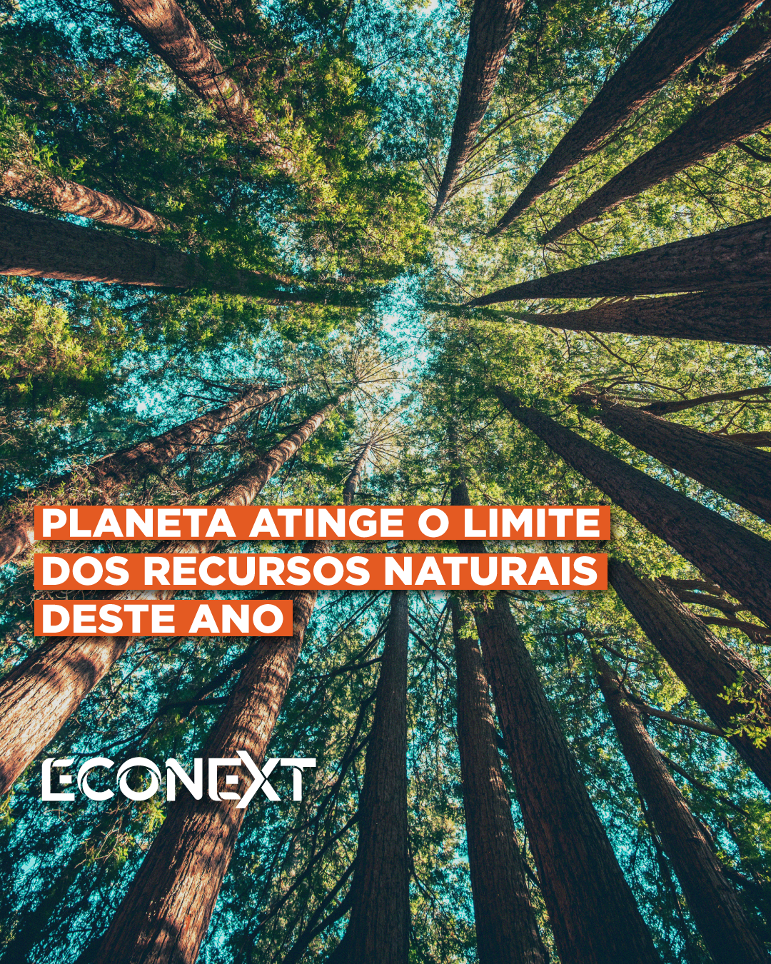 Planeta atinge o limite dos recursos naturais deste ano