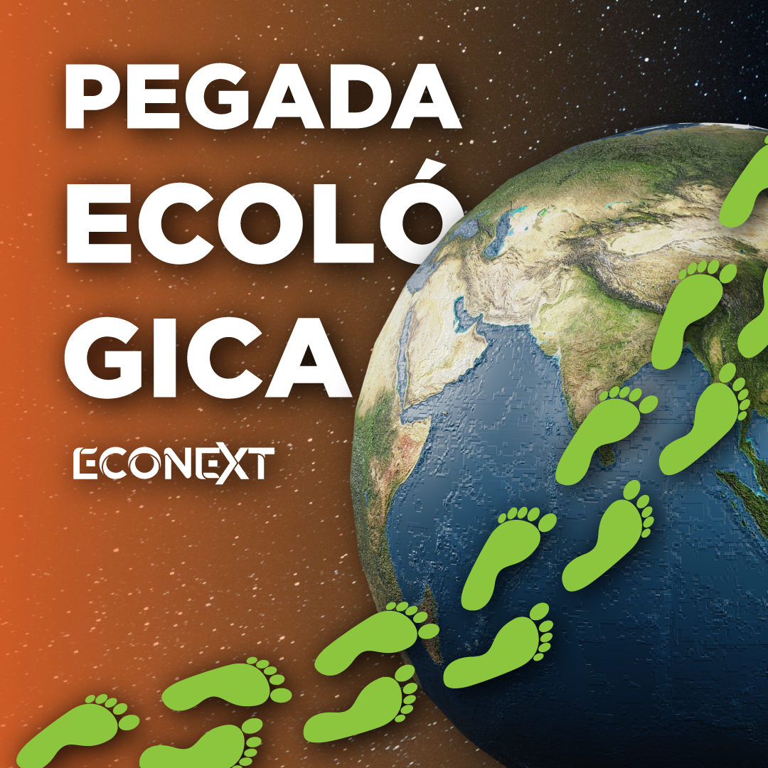 Pegada Ecológica