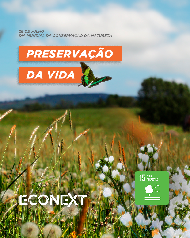 28 de julho - Dia Mundial da Conservação da Natureza