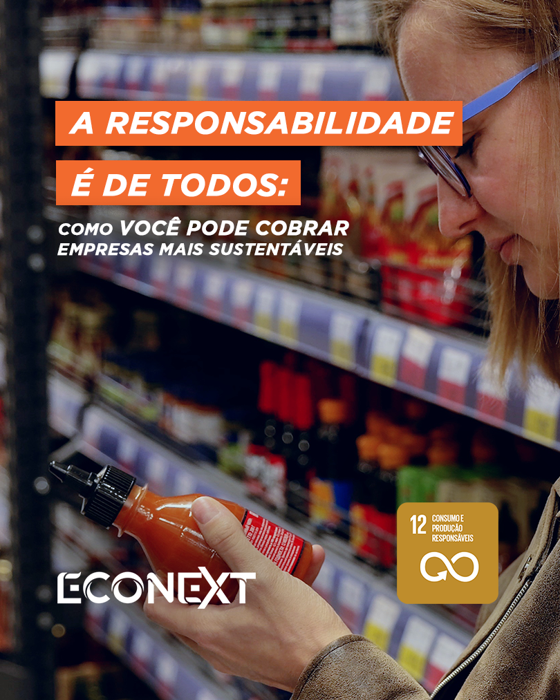 A Responsabilidade é de todos: Como Você Pode Cobrar Empresas mais Sustentáveis