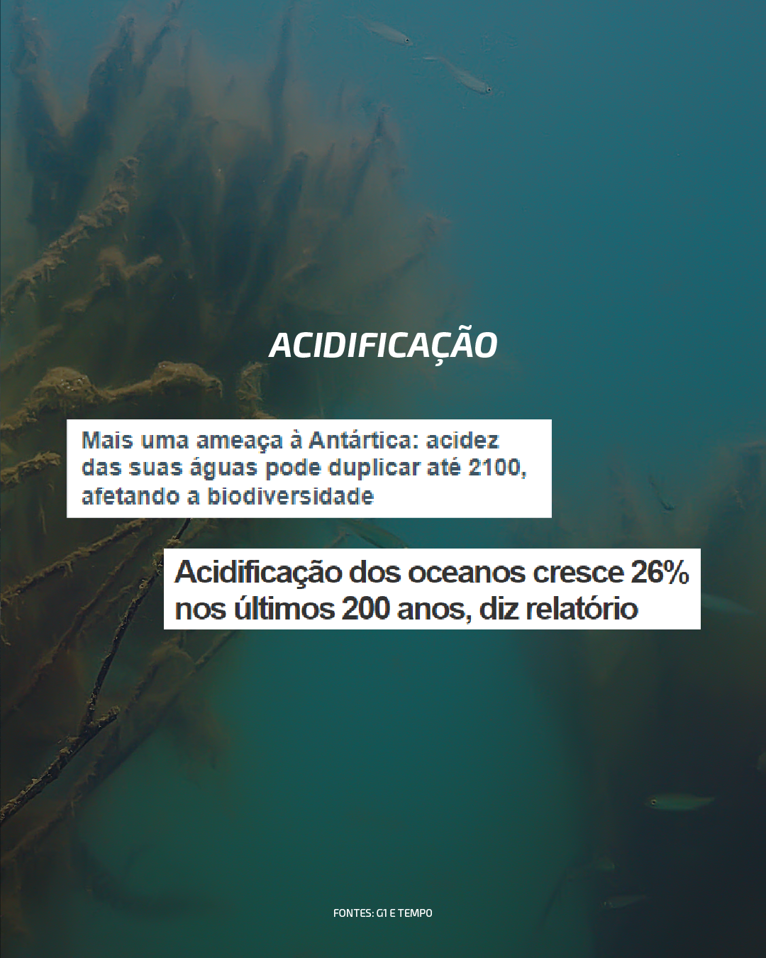 Quais são os impactos causados pelas mudanças climáticas?