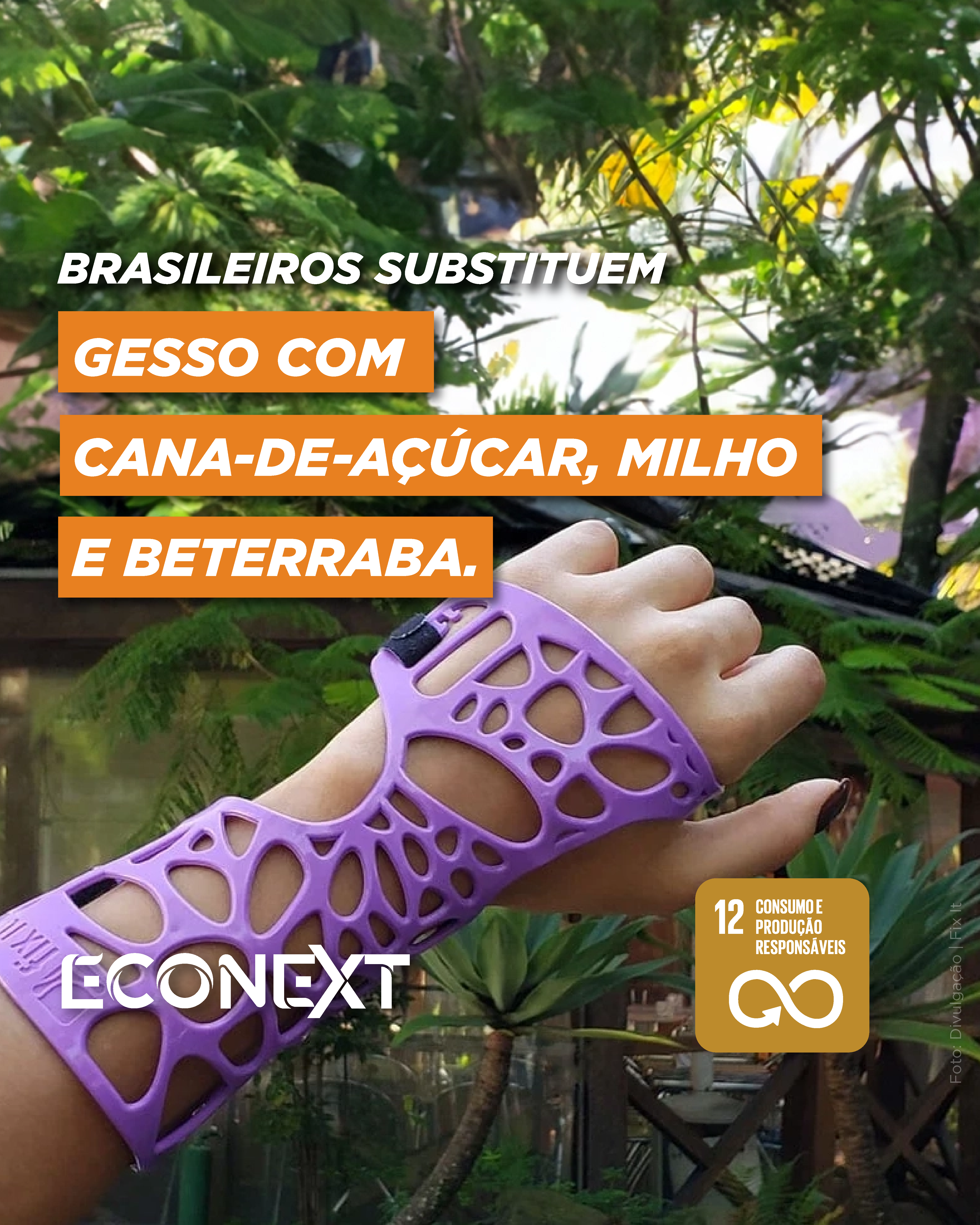 Soluções Sustentáveis: Brasileiros Substituem Gesso com Cana-de-Açúcar, Milho e Beterraba