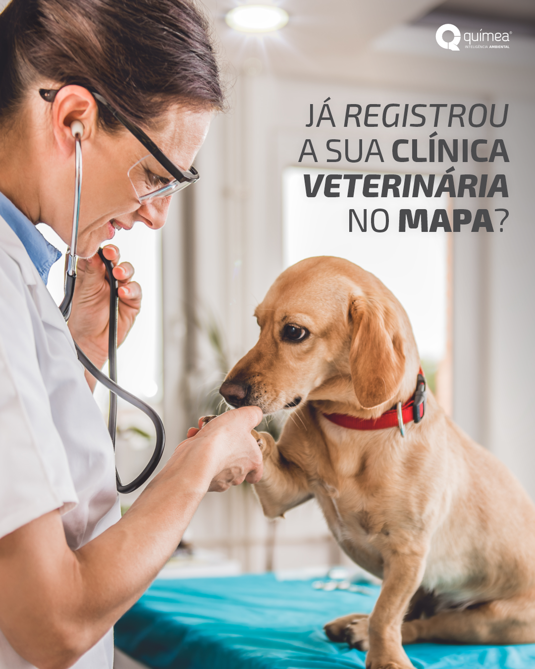 Já registrou a sua clínica veterinária no MAPA?