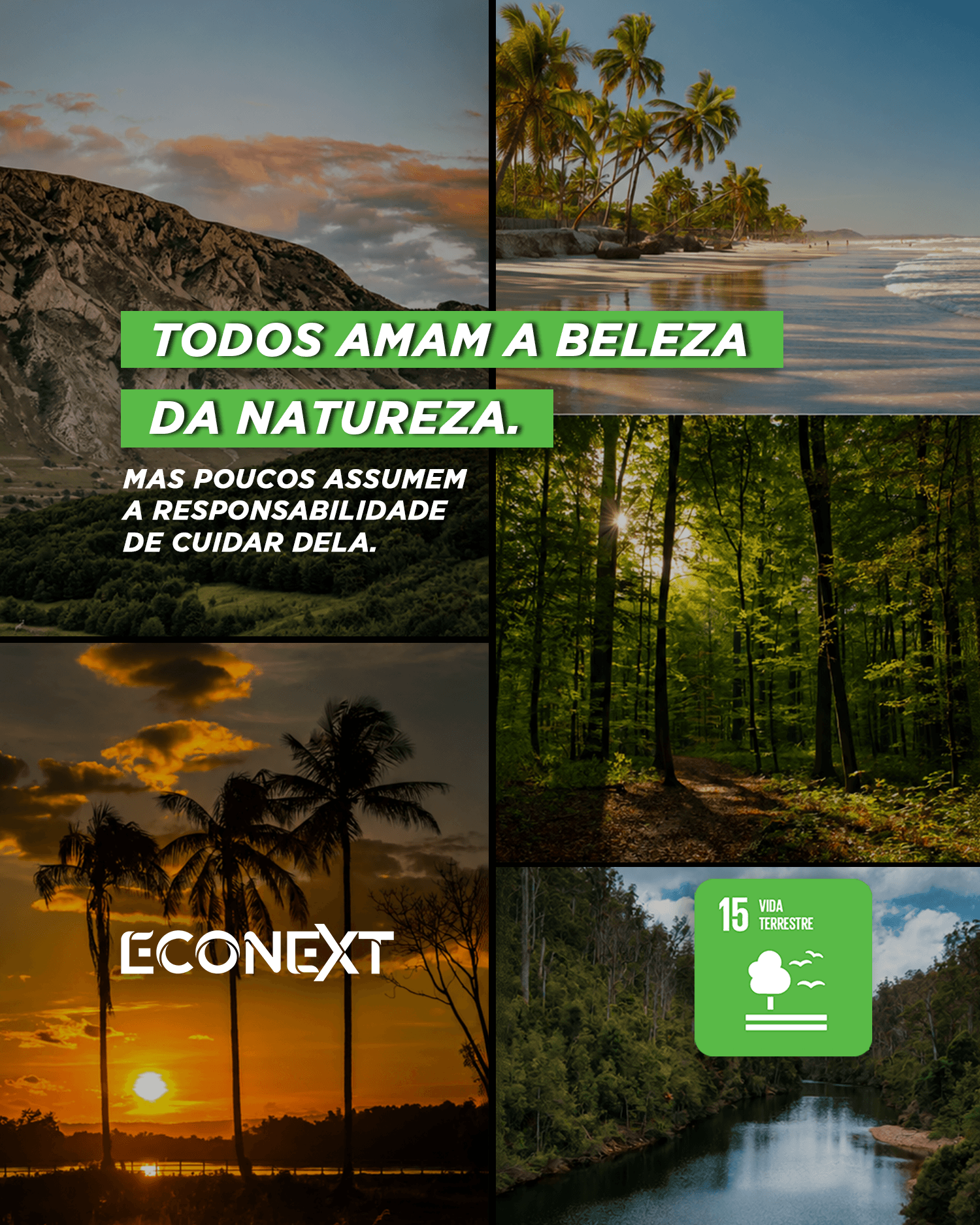 Amar a natureza também é cuidar dela