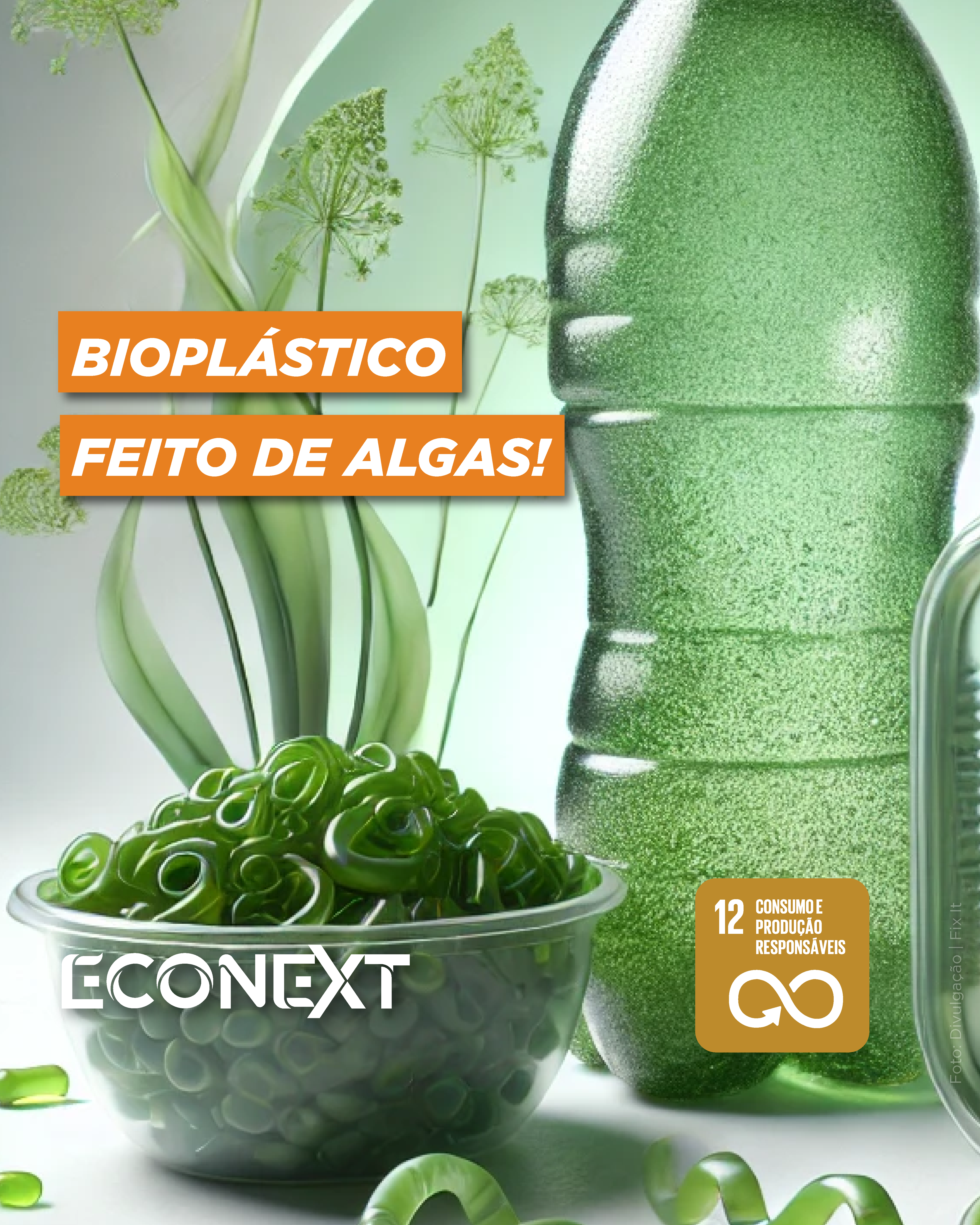 Bioplástico feito de algas: a inovação que pode substituir o plástico tradicional