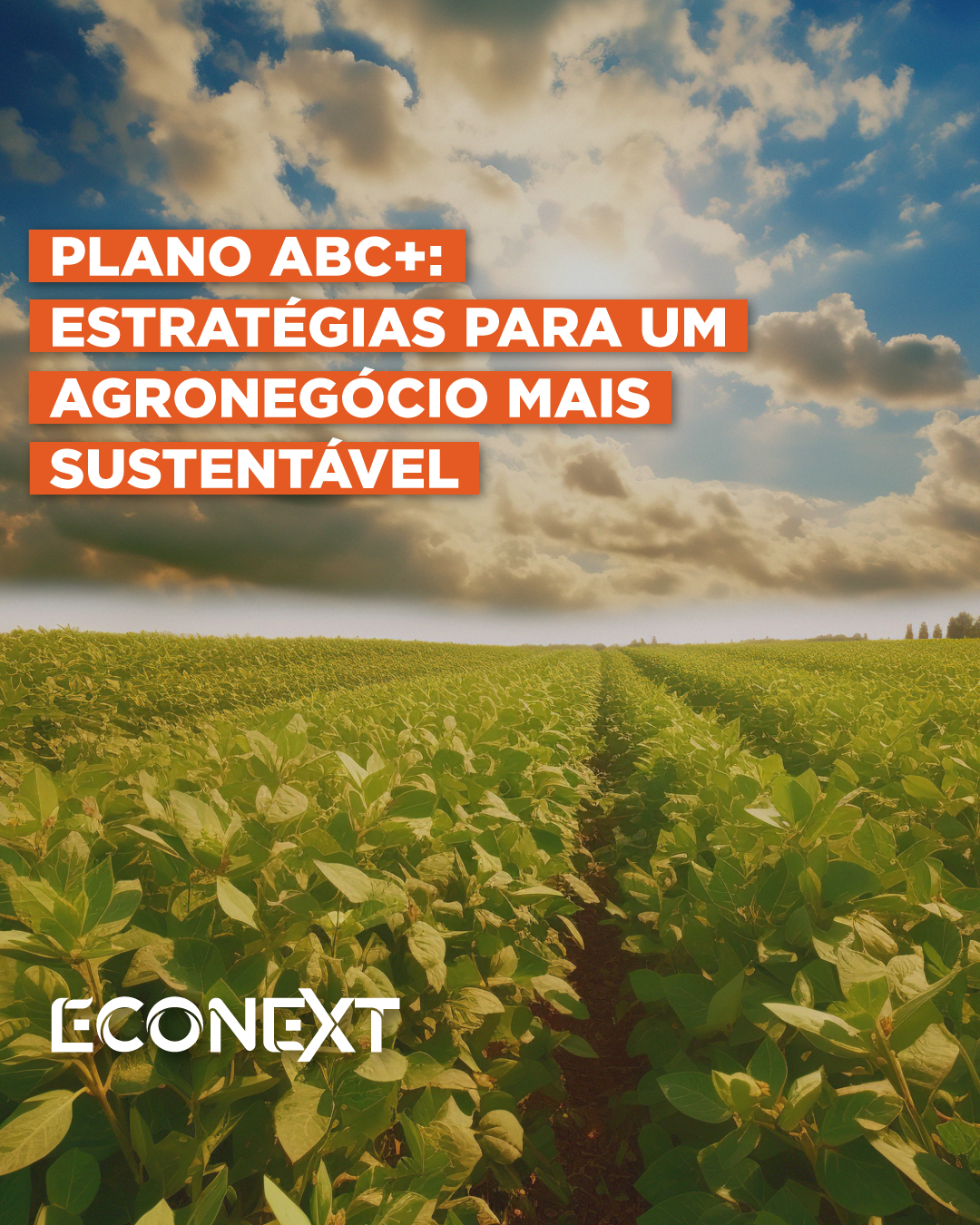 Plano ABC+: estratégias para um agronegócio mais sustentável