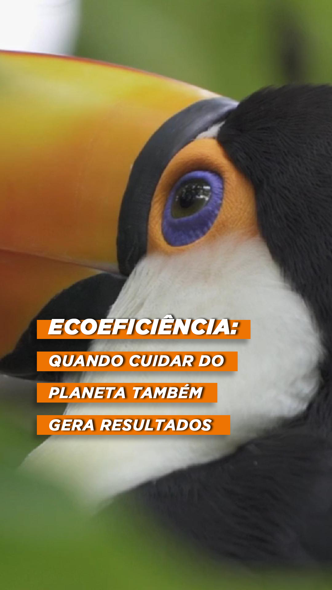 Ecoeficiência: quando cuidar do planeta também gera resultados 