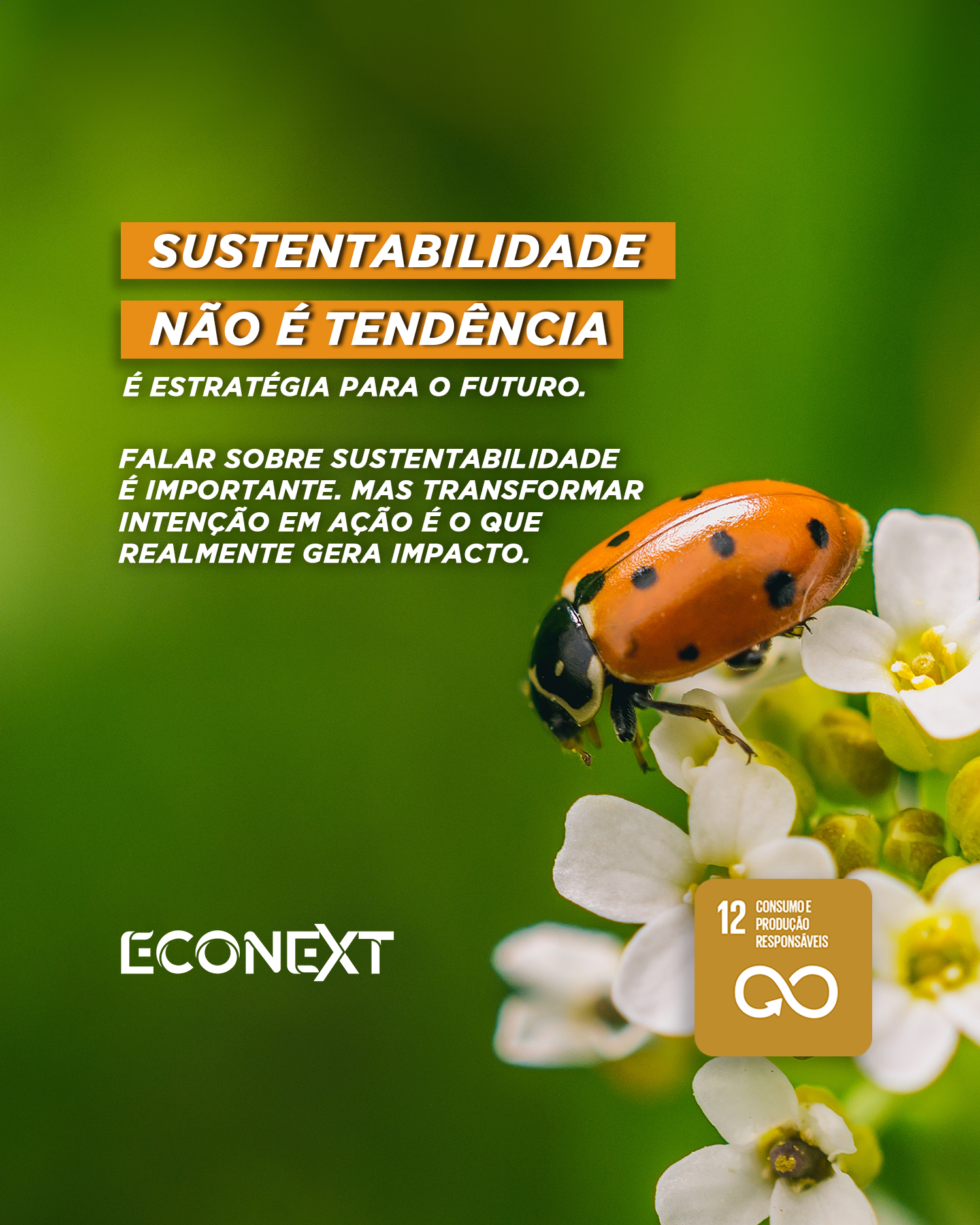 SUSTENTABILIDADE NÃO É TENDÊNCIA. É estratégia para o futuro.