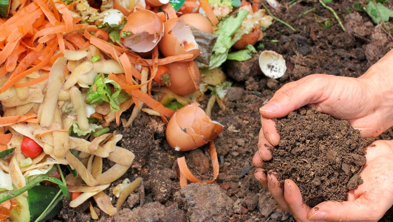 Rede de supermercados lança terra vegetal com resíduos orgânicos de sua operação