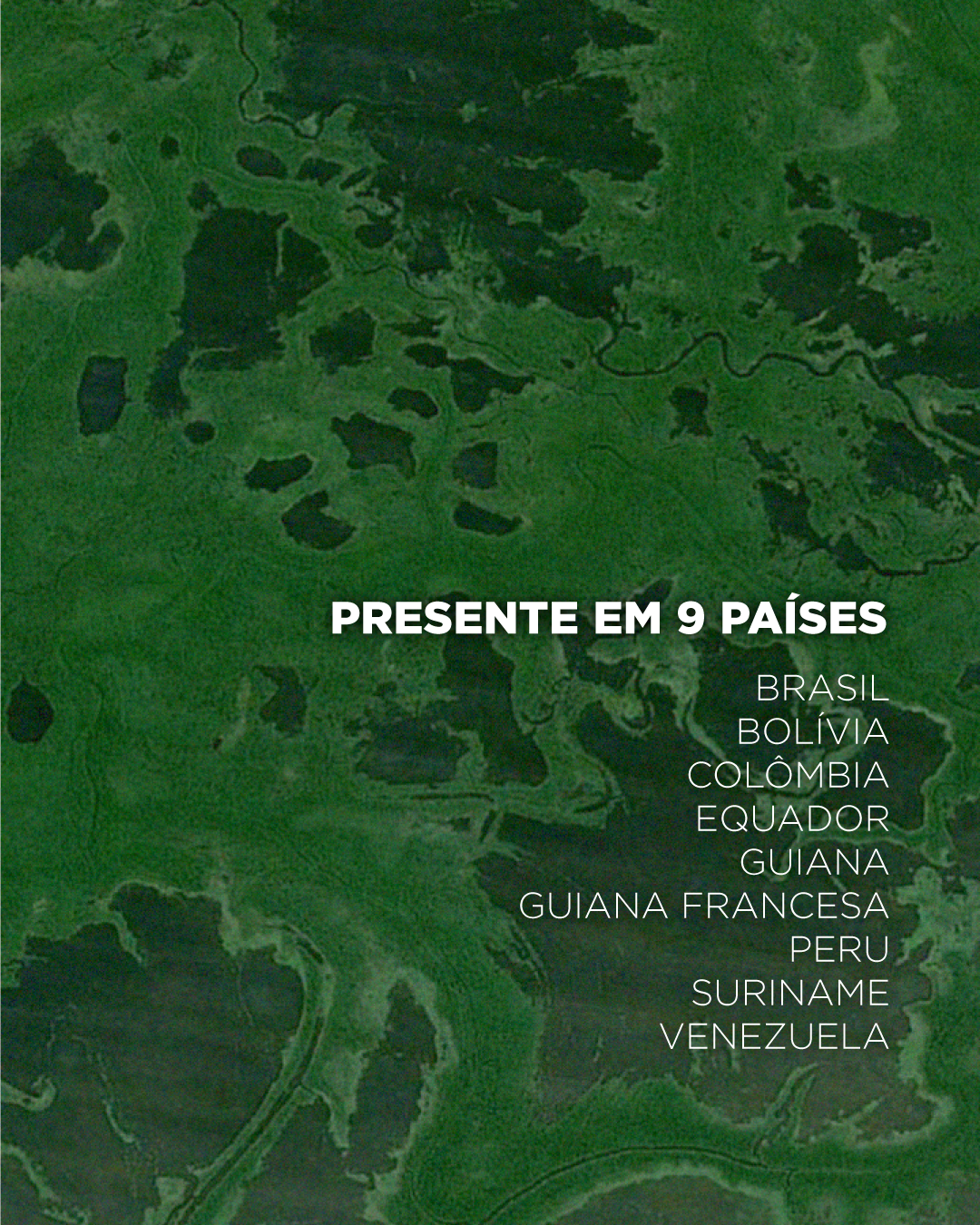 O que a Amazônia representa para o mundo?