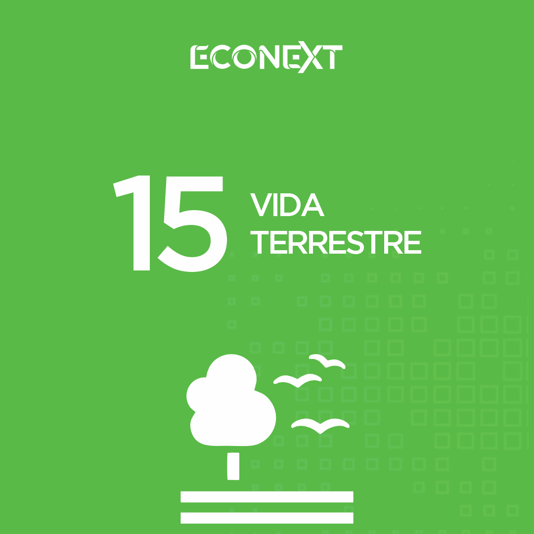 Objetivo do Desenvolvimento Sustentável nº 15