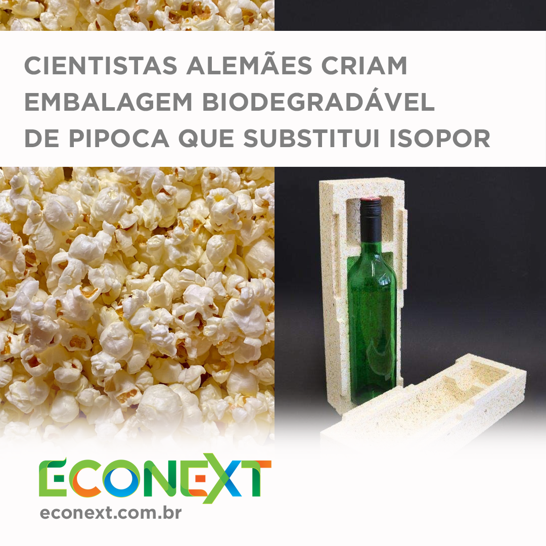 Cientistas criam embalagem de pipoca para substituir isopor