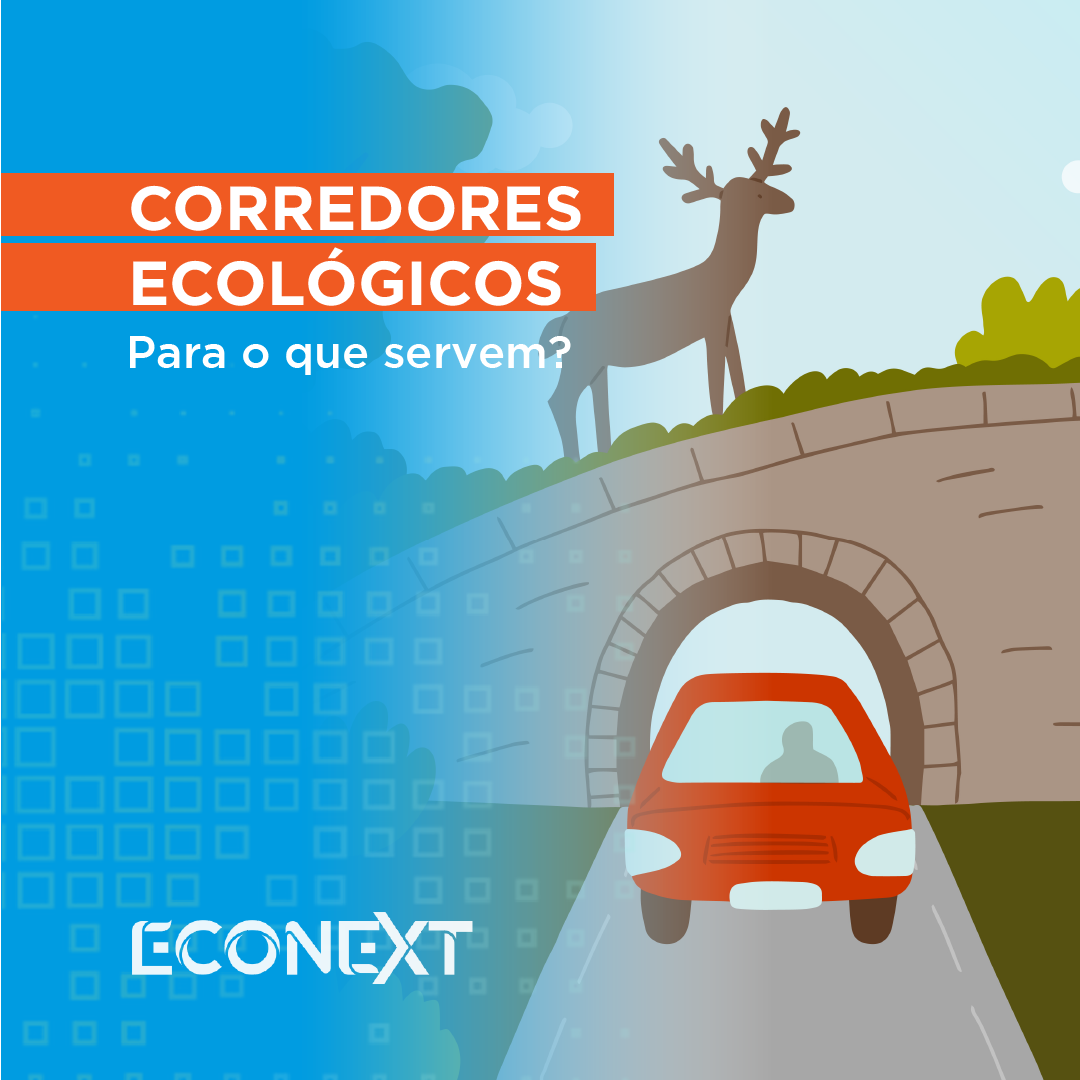 Corredores Ecológicos