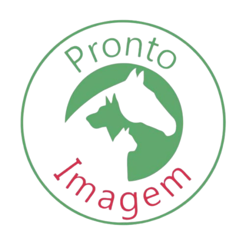 Pronto IA