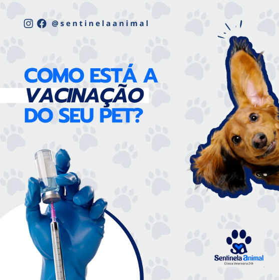 Sentinela Animal