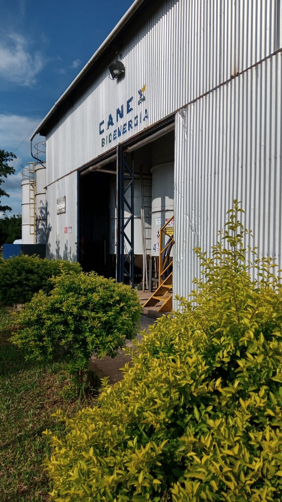 Canex Bioenergia