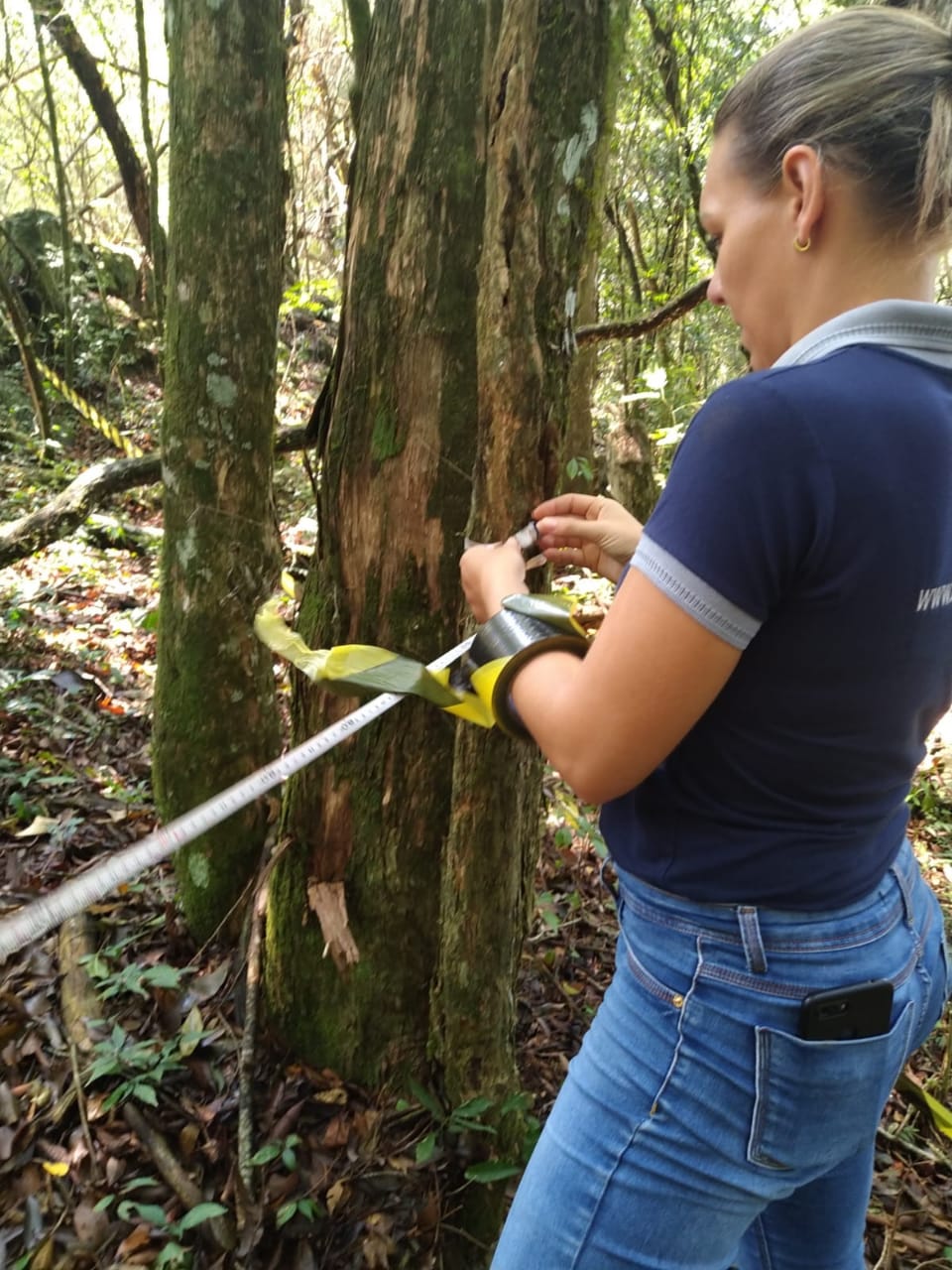 Químea Inteligência Ambiental 