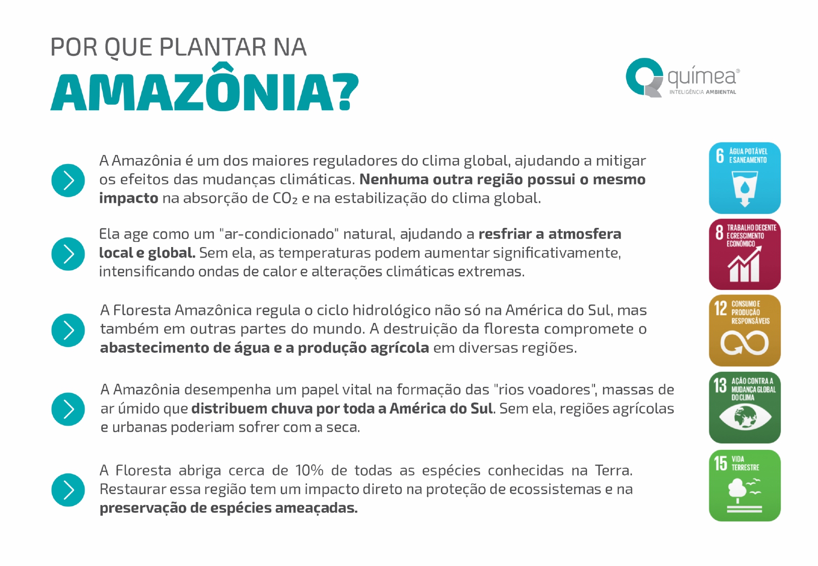 Optimus Suspensões