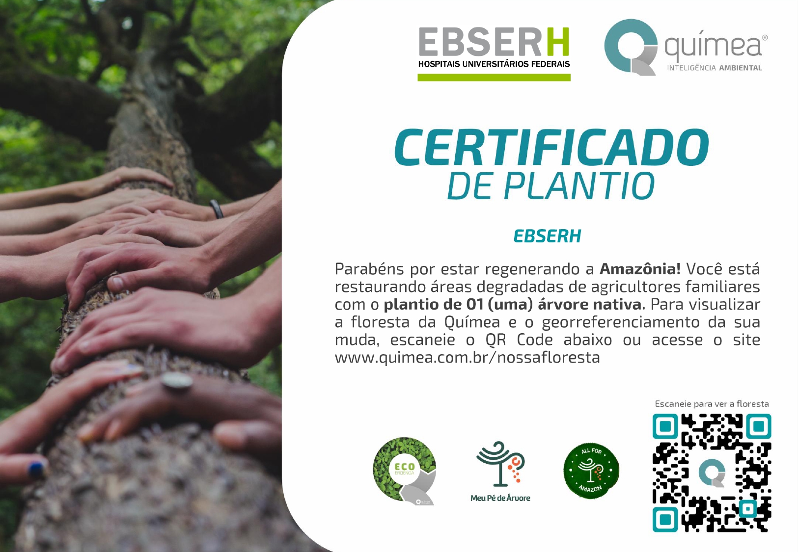 Novo Hospital Escola UFPEL 